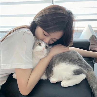 最后的骑士